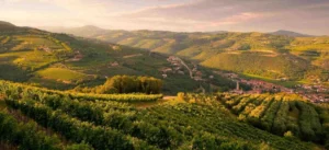 valpolicella valpolicella