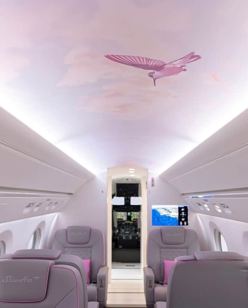 Sliv Air: Paris Hilton signe un Gulfstream à son image